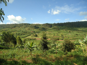 After Genocide, Scenes from the Road in Rwanda