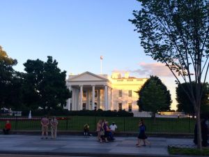 Picture of White House at Dusk