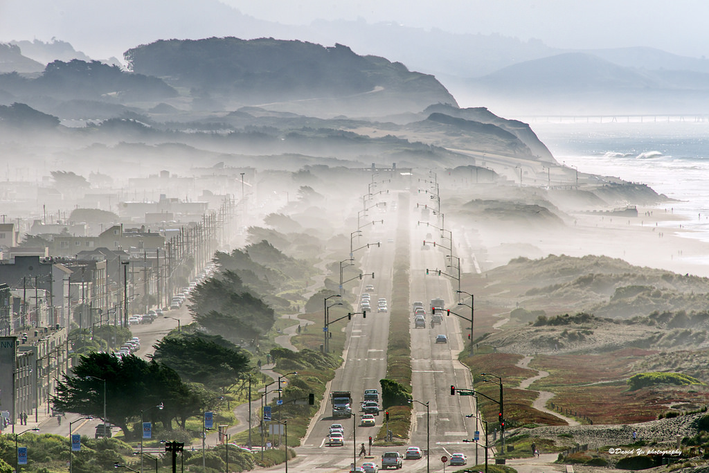 for-love-of-san-francisco-s-summer-fog