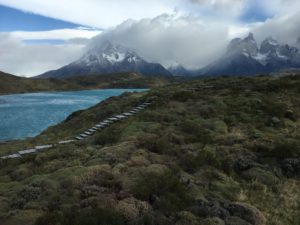 View from Explora Patagonia